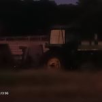 Daniel Kerley - @daniel2341345 - Instagram