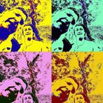 Daniel Kessel - @kessel2172 - Instagram