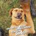 Daniel Kessel - Facebook