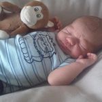 Daniel Keßel - @daniel2w31s9 - Instagram