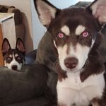 Levi Daniel Kestner - @levidanielkestner - Instagram