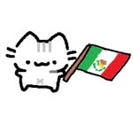 𝐃𝐚𝐧𝐢 - @daniel_ketchup - Instagram