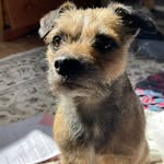 Daniel Kettle - @daniel_kettle_737 - Instagram