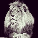 Daniel Kexel - @danielkexel - Instagram