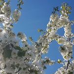 Daniel Keyes - @danielkeyes1962 - Instagram