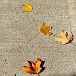 Daniel Keyes - @playingkeyes - Instagram