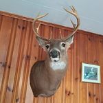 Daniel keyser - @keyser1751 - Instagram