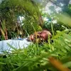 user085333854 - @danielnkho - TikTok