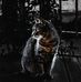 Daniel Khoury - Facebook