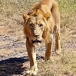 Daniel Kiarie - @danielnjuguna.kiarie - Instagram