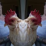 Daniel Joseph Killeen - @danieljosephkilleen - Instagram
