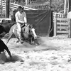 DK Livestock - @danielkimberlin - TikTok