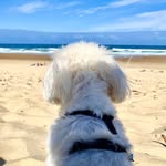 Daniel Kinder - @daniel_kdr1 - Instagram