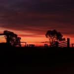 Daniel Kiraly - @danielkiraly60 - Instagram