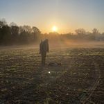 Daniel Kirchhoff - @kirchhoffdaniel - Instagram