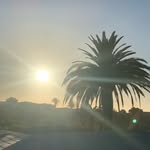 Daniel_Kirchhoff - @dan_kirchoff12 - Instagram