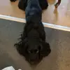 Daniel Kirkegaard945 - @dalli706774 - TikTok