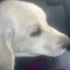 Crazy man38 - @daniel.kirkham95 - TikTok