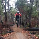 Daniel Kirkman - @just_for_shredsss - Instagram
