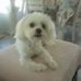 Danny Kirkman - Facebook