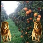 Daniel Kiros - @kiros27 - Instagram
