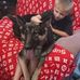 Daniel Kiser - Facebook