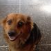 Daniel Kissoon - Facebook