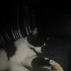 danielkitching876 - @danielkitching876 - TikTok
