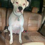 Daniel kitzerow - @kitzerow.daniel - Instagram