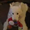 Daniel Klaus - @danielklaus48 - TikTok
