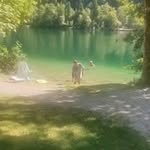 Daniel Klecka - @dankle71 - Instagram