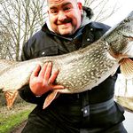 Daniel Kleemann - @daniel_kleemann_ - Instagram