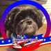 Daniel Kleinhenz - Facebook