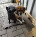 Daniel Kleinschmidt - Facebook