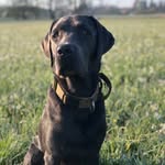 Daniel Klever - @blablaundnochmehrbla - Instagram