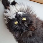 Daniel Klima - @daniel.klima.77 - Instagram