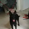 Daniel Klimas - @daniel.klimas4 - TikTok