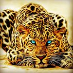 Daniel Klimov - @klimvdaniel - Instagram