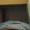 Daniel Klingler - @danielklingler8 - TikTok