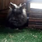 Daniel Klinke - @klinke.daniel - Instagram