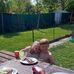 Daniel Closterman - Facebook