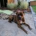 Daniel Kluge - Facebook