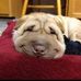 Daniel Kluge - Facebook