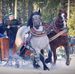 Daniel Kluz - Facebook