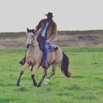 Daniel Knabe - @knabedaniel - Instagram