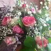 danielaknabehutan - @didihutanu - TikTok