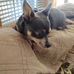 Daniel Knack - Facebook