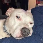 Daniel Shawn Knarr - @636dan_ - Instagram