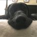 Daniel Knaus - Facebook