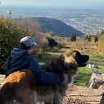 Daniel Knauss - @knaussdaniel - Instagram